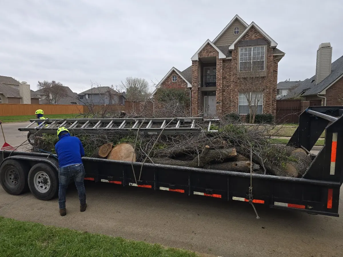 Expert Tree Removal with proper safety equipment in White Pigeon